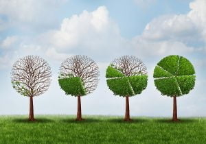 asset allocation portfolio asset allocation portfolio