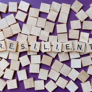 resilient-g8cf88d3c2_1920 resilient-g8cf88d3c2_1920